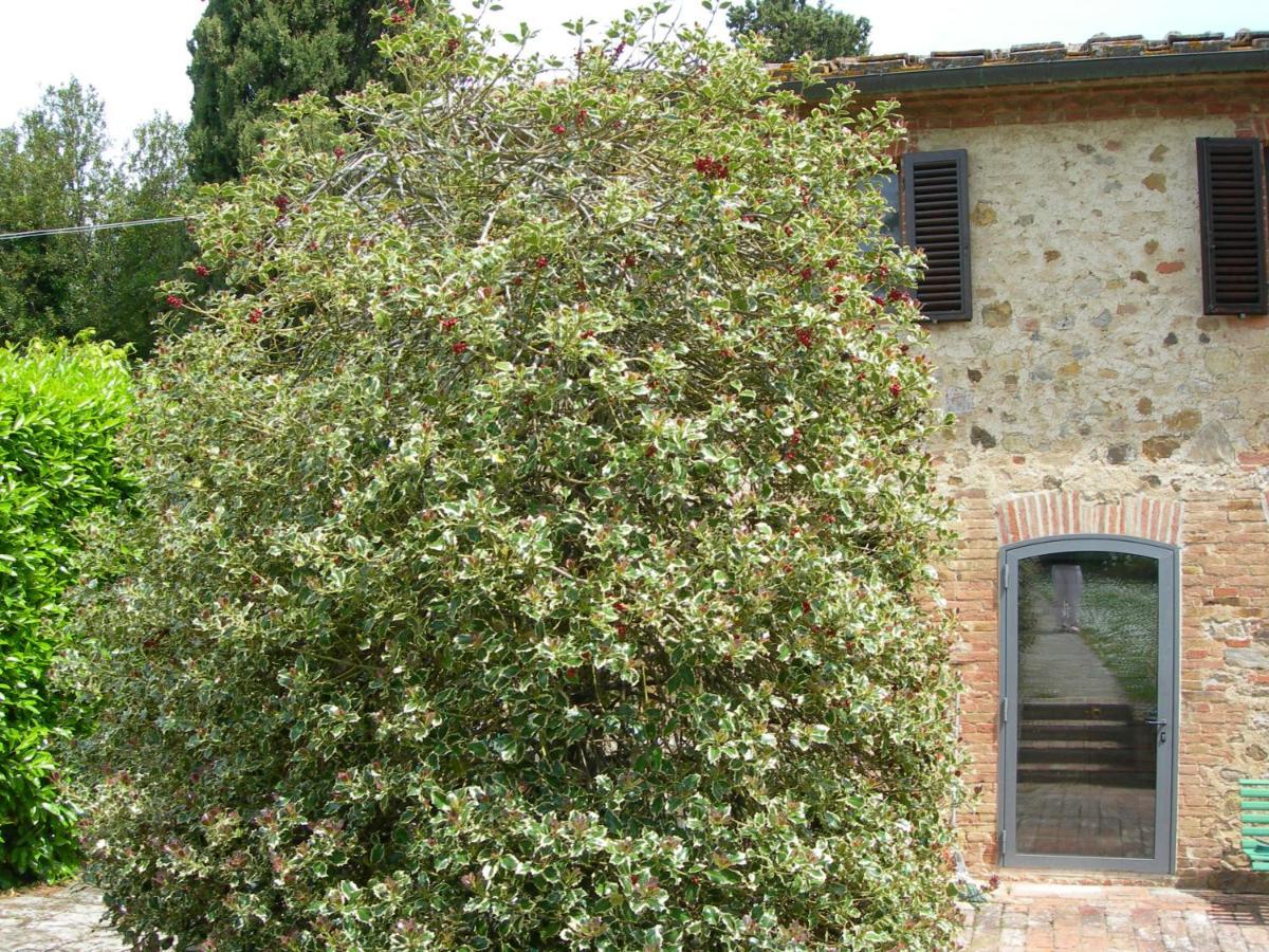 L Agrifoglio Bed & Breakfast Castelnuovo Berardenga Exterior photo